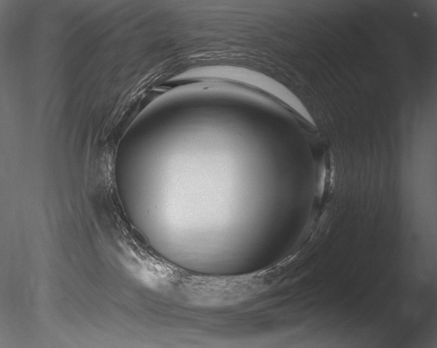 X0000085820045200703161234