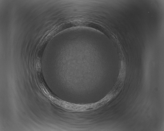 X0000085820048200703161234
