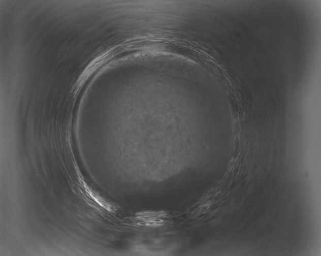 X0000085820051200703161233