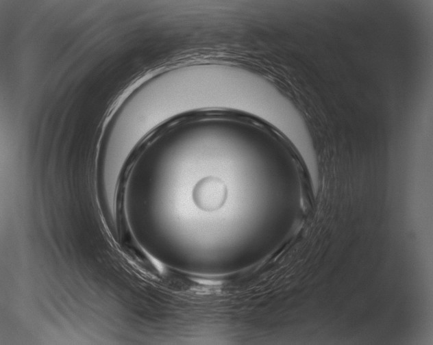 X0000085820052200703161233