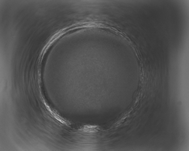 X0000085820055200703161233