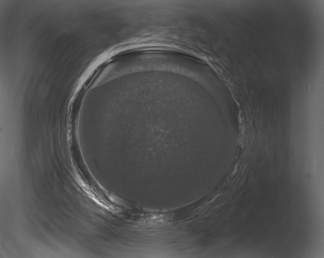 X0000085820056200703161233