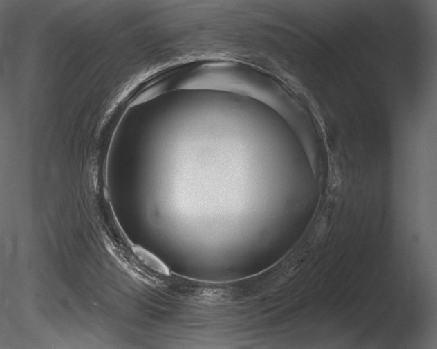 X0000085820060200703161233