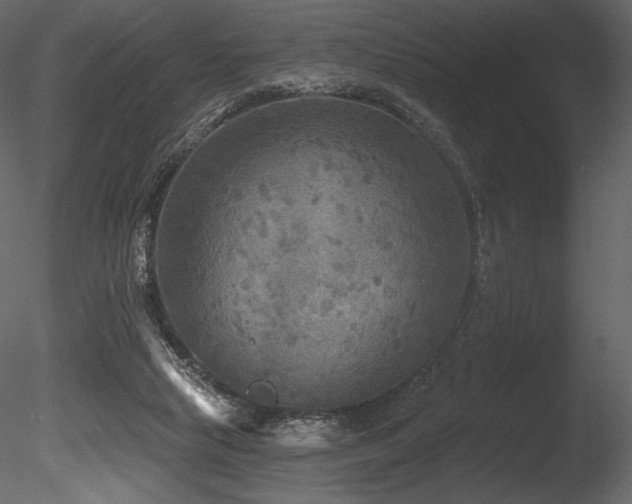 X0000085820065200703161234