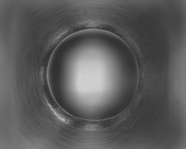 X0000085820066200703161234