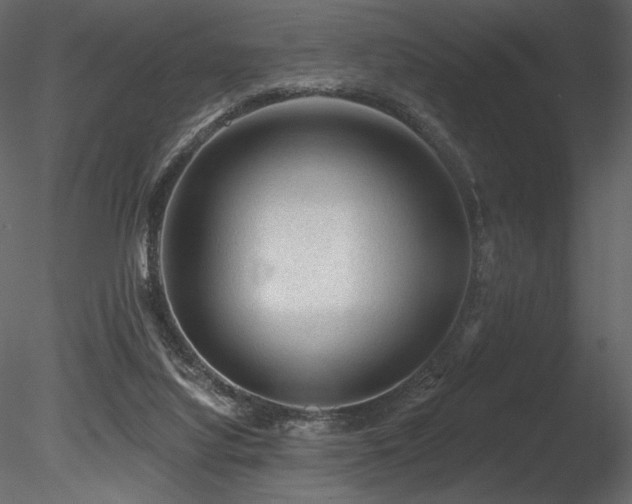 X0000085820068200703161234