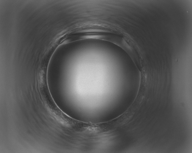 X0000085820071200703161234