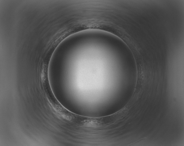 X0000085820074200703161234