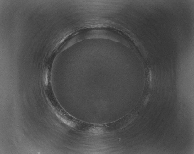 X0000085820076200703161234