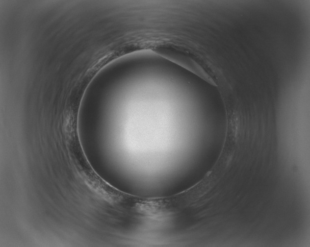 X0000085820079200703161234