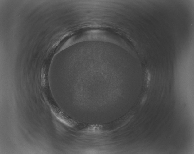 X0000085820080200703161234