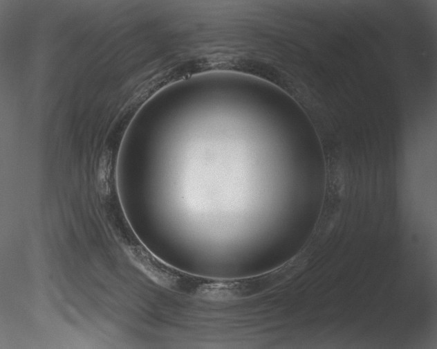 X0000085820082200703161234