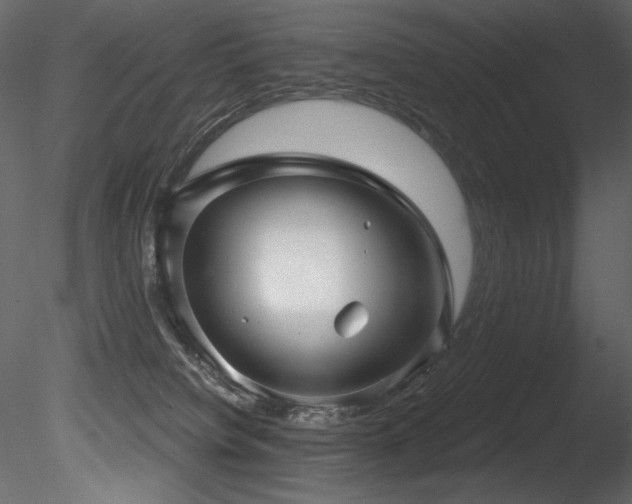 X0000085820084200703161234