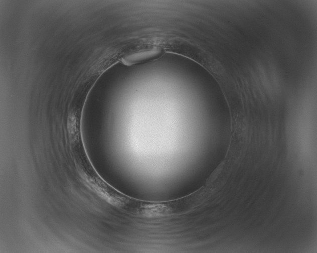 X0000085820087200703161234