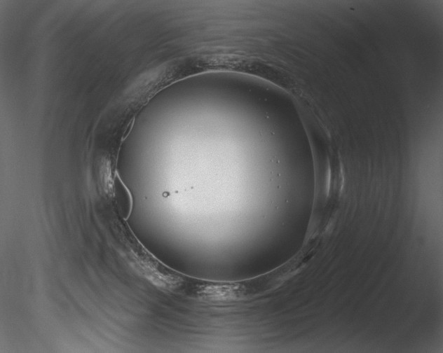 X0000085820089200703161234