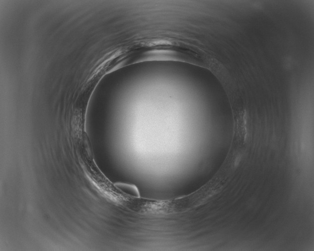 X0000085820092200703161234