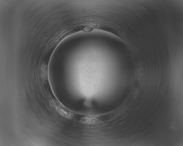 X0000085820093200703161234