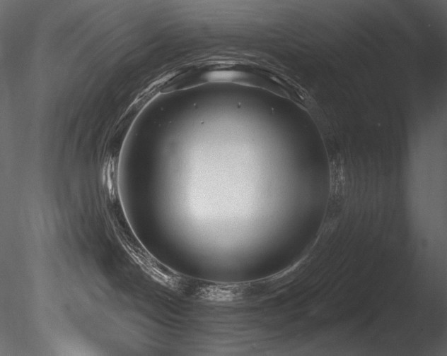 X0000085820094200703161234