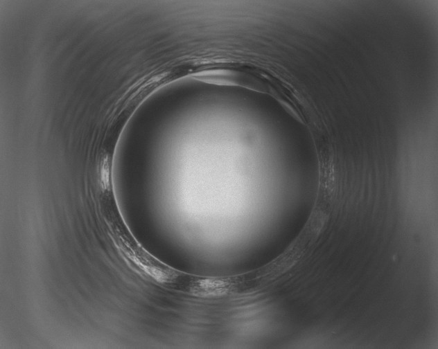 X0000085820095200703161234