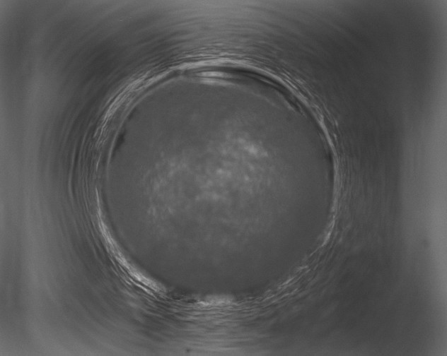 X0000085820097200703161233