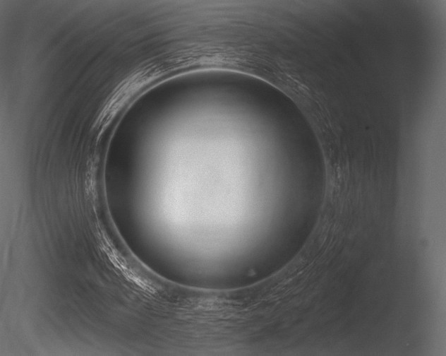 X0000085820098200703161233