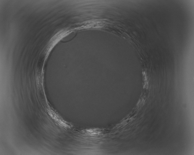 X0000085820100200703161233