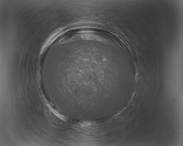 X0000085820101200703161233