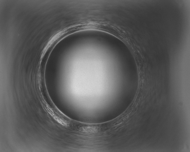 X0000085820102200703161233