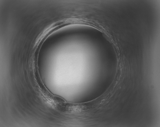 X0000085820103200703161233