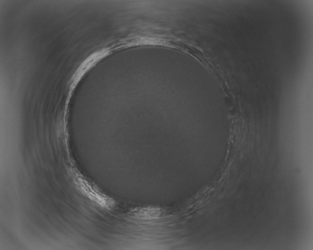 X0000085820104200703161233
