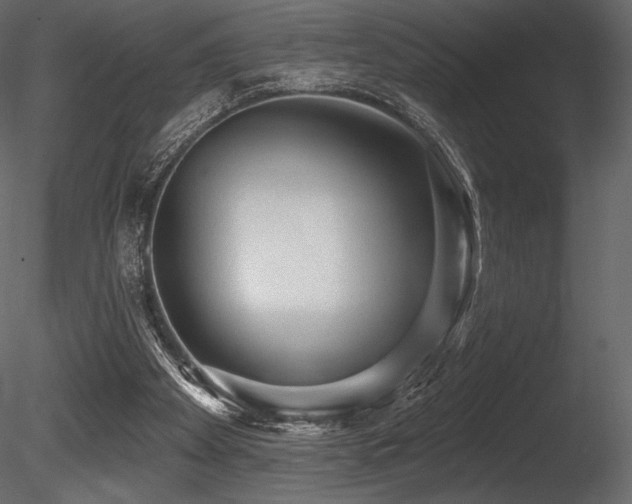 X0000085820105200703161233