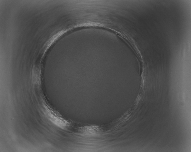 X0000085820108200703161233