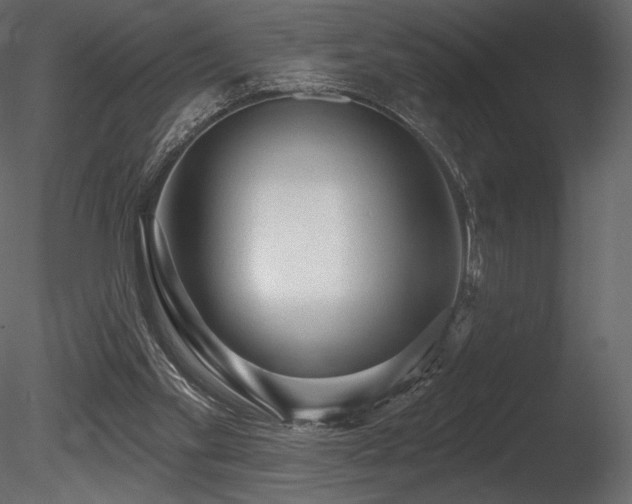 X0000085820109200703161233