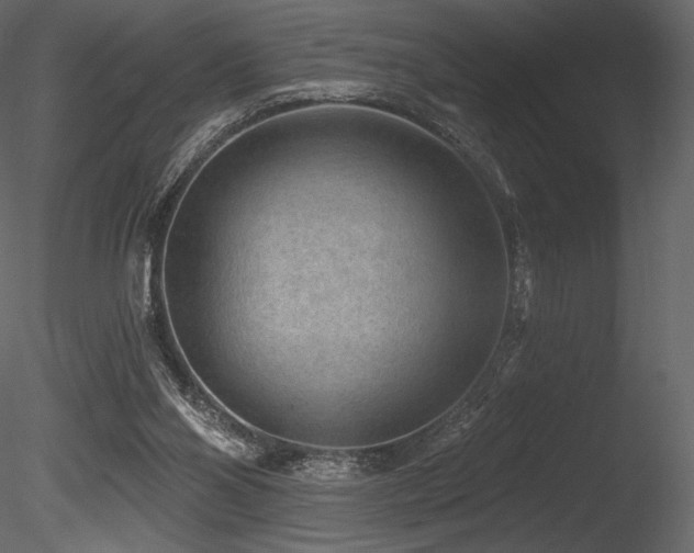 X0000085820110200703161233