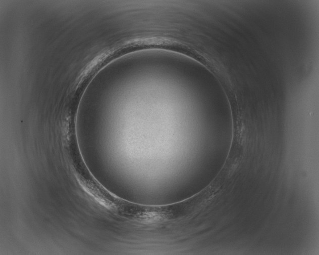 X0000085820111200703161233