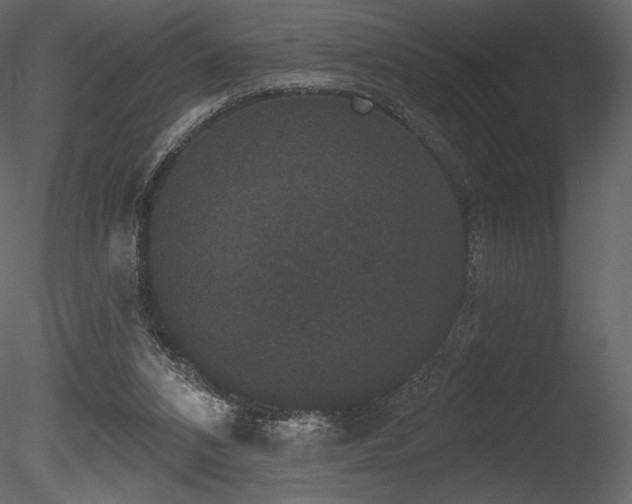 X0000085820112200703161233