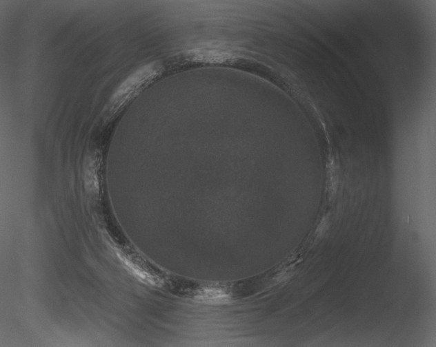 X0000085820114200703161233