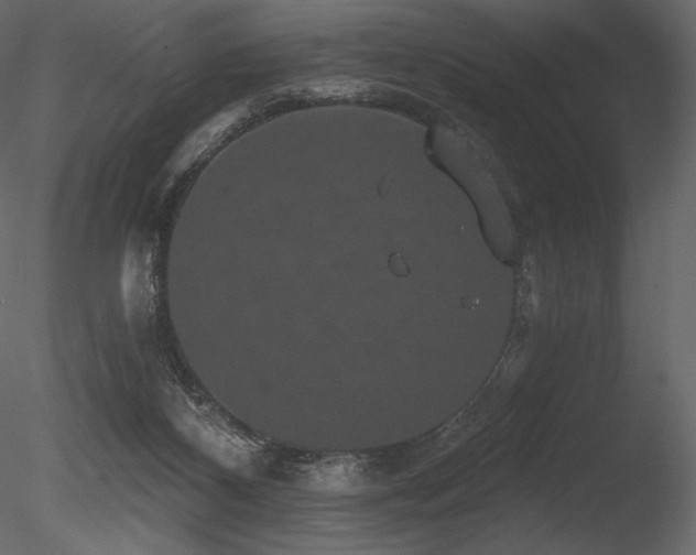 X0000085820116200703161233