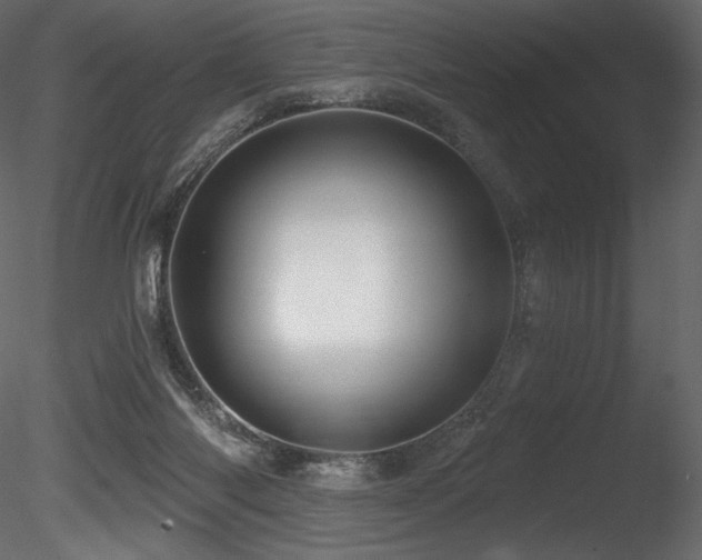 X0000085820118200703161233