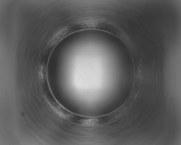 X0000085820122200703161233