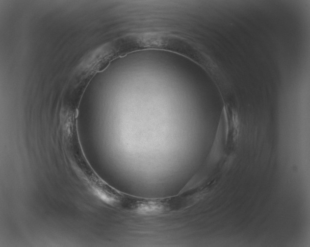 X0000085820125200703161233
