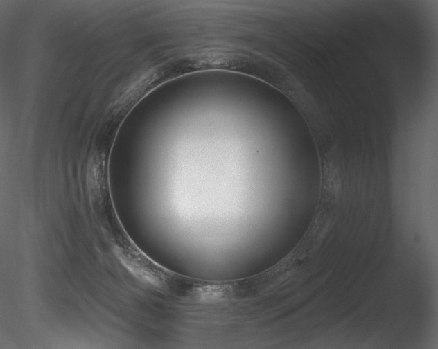 X0000085820126200703161233