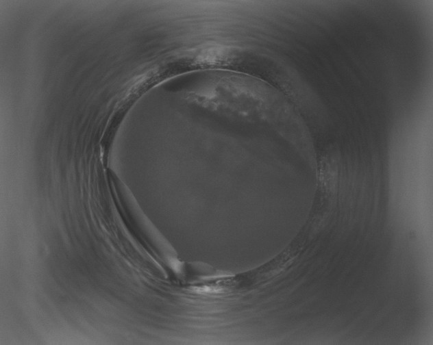 X0000085820127200703161233