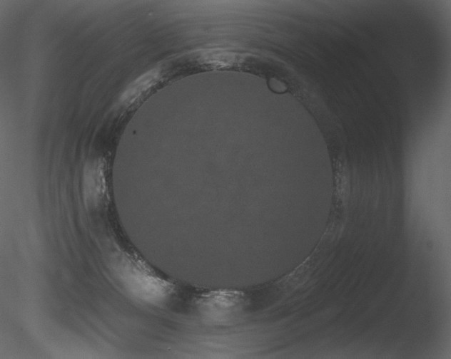 X0000085820128200703161233