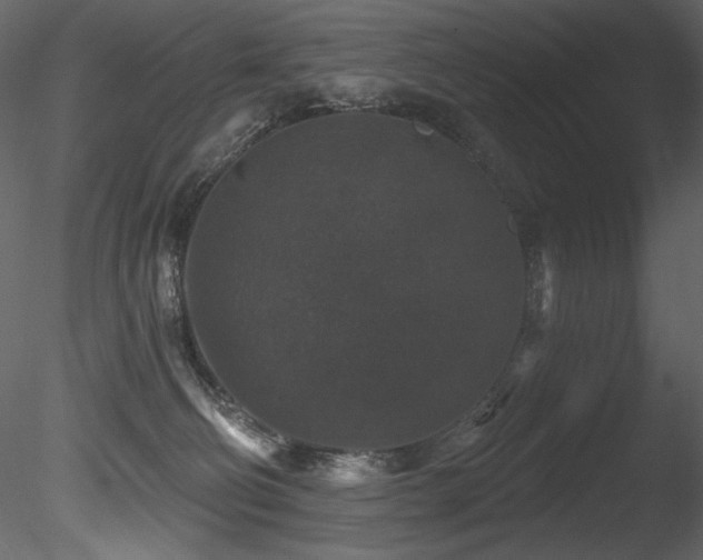X0000085820130200703161233