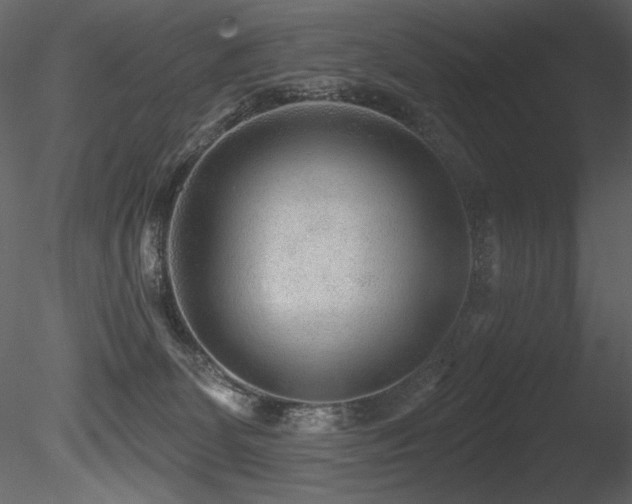 X0000085820131200703161233