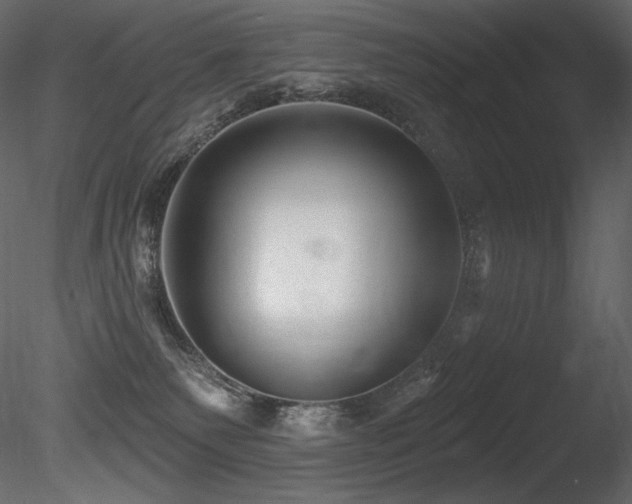 X0000085820135200703161233