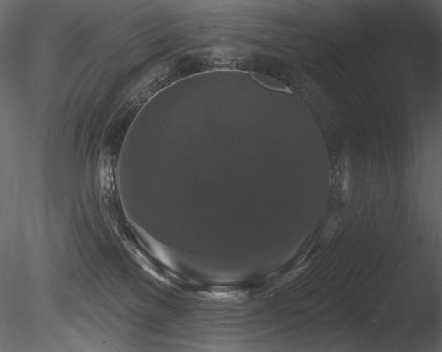 X0000085820137200703161233