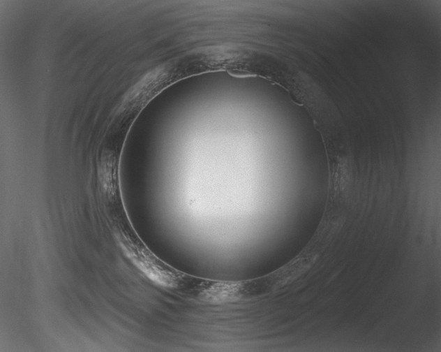 X0000085820138200703161233