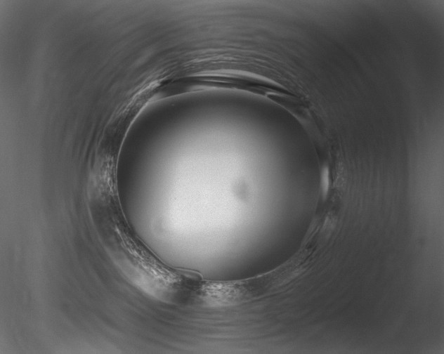 X0000085820141200703161232